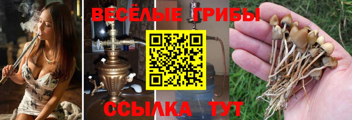 Псилоцибиновые грибы мухоморы  Вход с VPN  Самара 